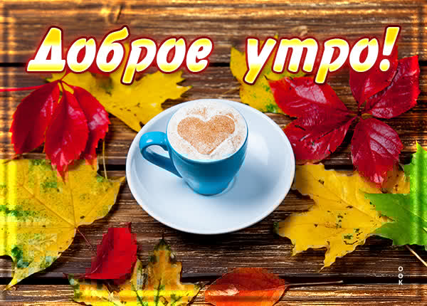 Трогательная картинка доброе утро