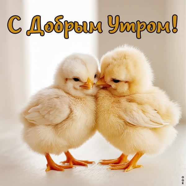 Нежное пробуждение открытка доброе утро