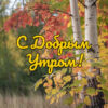 Открытка с ароматом утра