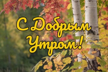 Открытка с ароматом утра