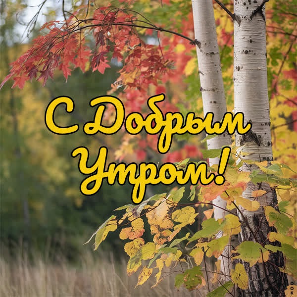 Открытка с ароматом утра