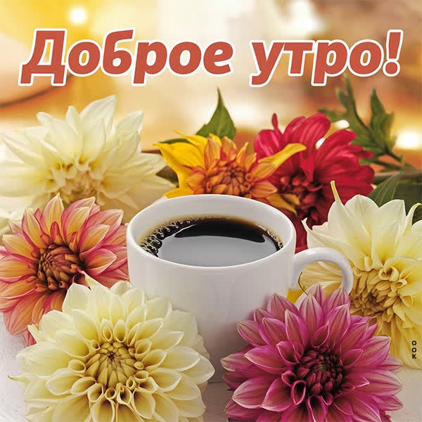 Открытка с добрым светом утра