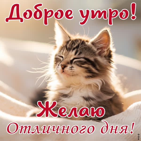 Открытка с лёгким утром