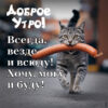 Позитивная открытка доброе утро