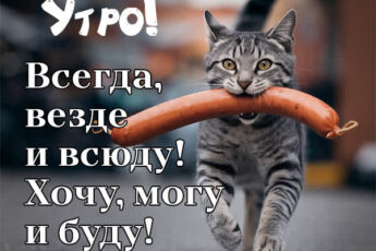 Позитивная открытка доброе утро