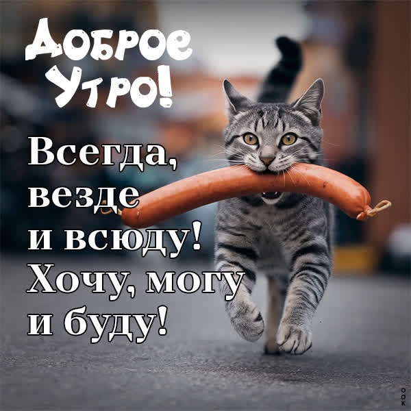 Позитивная открытка доброе утро