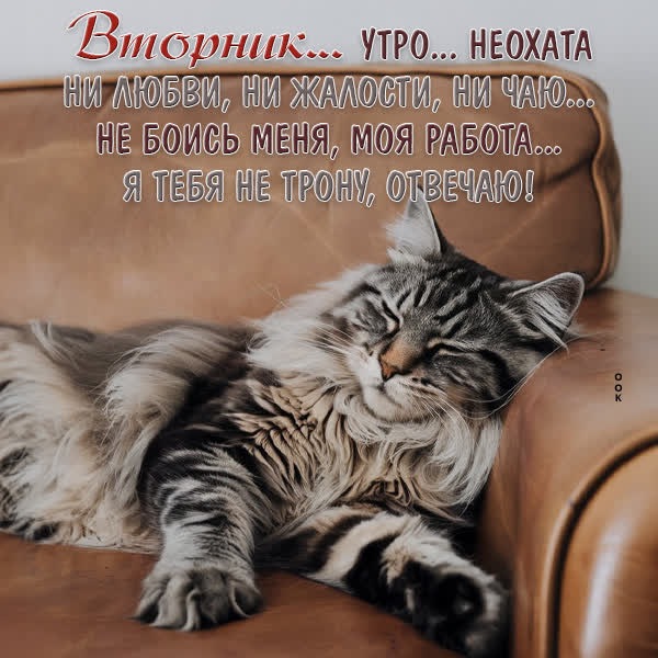 Позитивная открытка со вторником