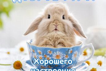 Приятная открытка доброе утро