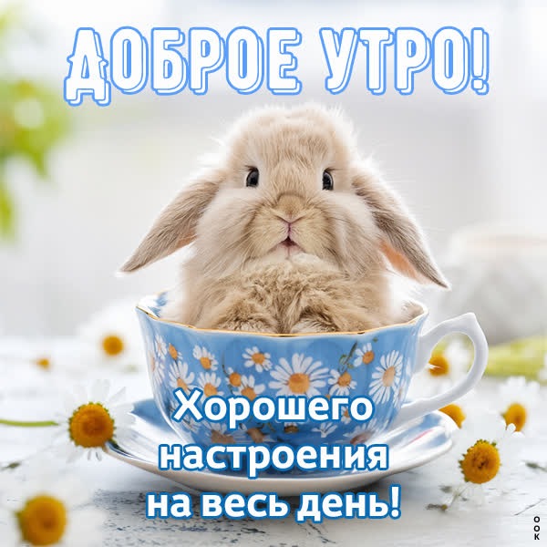 Приятная открытка доброе утро