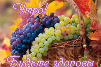 Приятная открытка, доброе утро и будьте здоровы