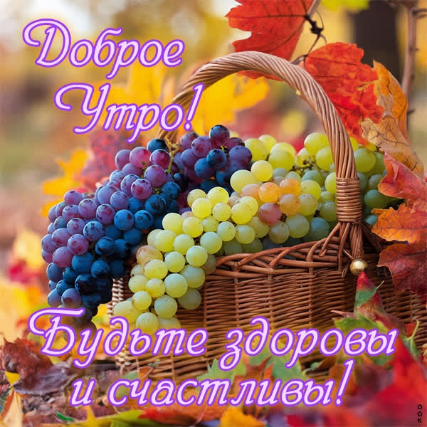 Приятная открытка, доброе утро и будьте здоровы