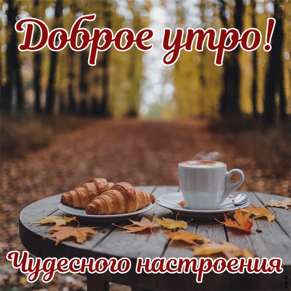 Прохладная открытка доброе утро