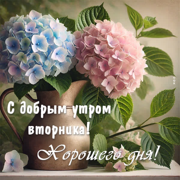 Радостная открытка на вторник