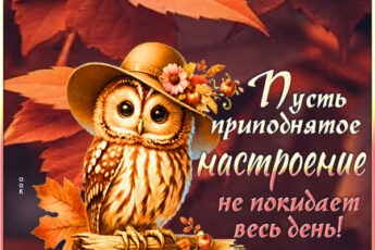 Смешная открытка пусть приподнятое настроение не покидает весь день