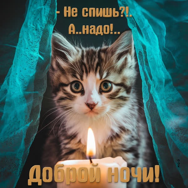 Уютная и ночная открытка Спокойной ночи