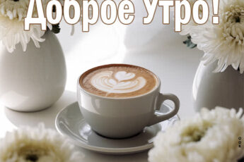 Утренняя гармония открытка