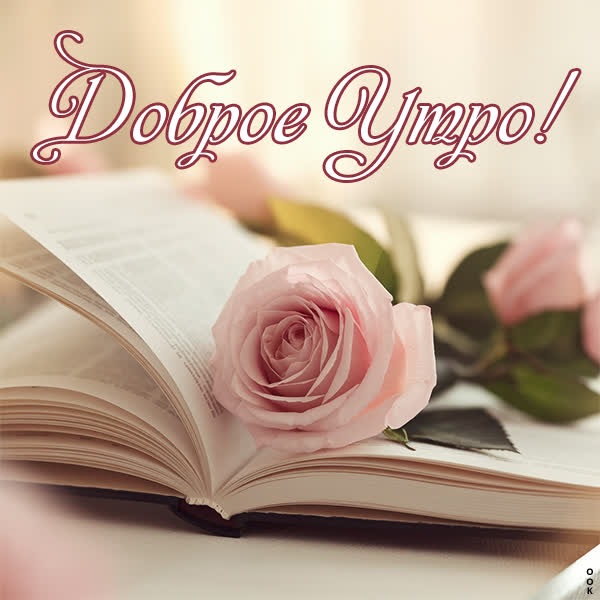 Утренняя магия открытка