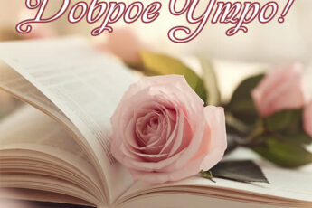Утренняя магия открытка
