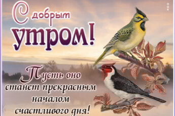 Жизнерадостная открытка с добрым утром