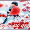 Радостная и сверкающая зимняя открытка Хорошего дня