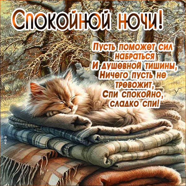 Спокойной ночи! Пусть поможет сил набраться и душевной тишины