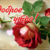 Вдохновляющая открытка с розами Доброе утро