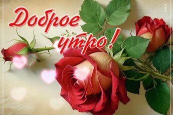 Вдохновляющая открытка с розами Доброе утро
