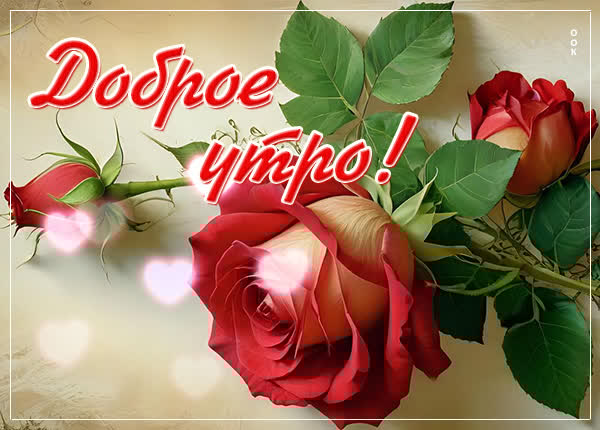 Вдохновляющая открытка с розами Доброе утро