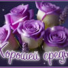 Великолепная открытка с розами Хорошей среды
