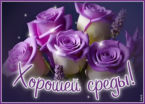 Великолепная открытка с розами Хорошей среды