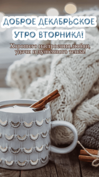 Доброе декабрьское утро вторника - красивые картинки (43 ФОТО)