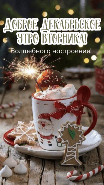 Доброе декабрьское утро вторника - красивые картинки (43 ФОТО)