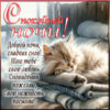 Доброй ночи, сладких снов! Шлю тебе свою любовь