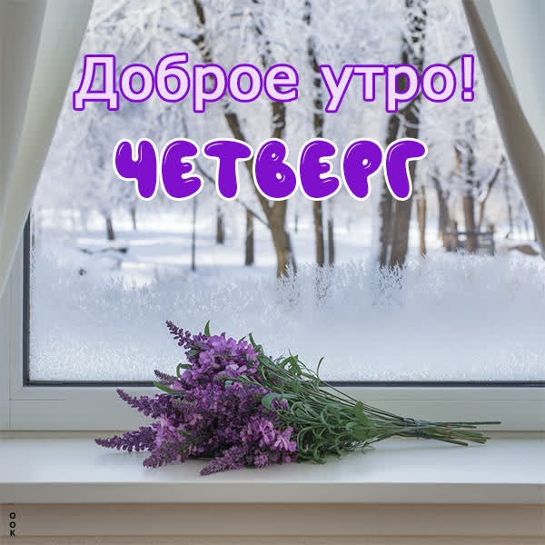 Морозный день и новая зимняя открытка для четверга