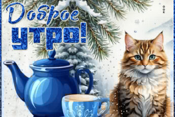 Снежная незабываемая открытка Доброе утро