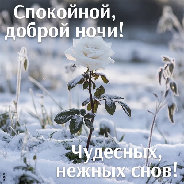 Снежные хлопья и зимняя открытка Спокойной ночи