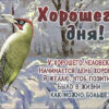 У хорошего человека начинается день хороший