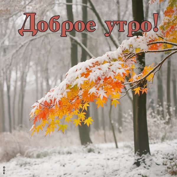 Утро в зимнем лесу открытка