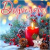 Морозное утро открытка для бодрого дня