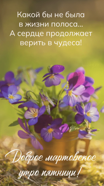 Доброе мартовское утро пятницы - красивые картинки (34 ФОТО)