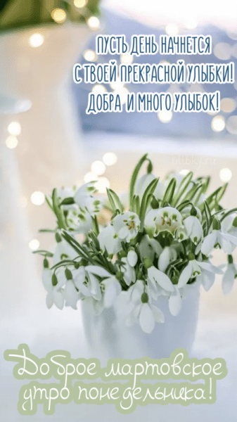 Доброе мартовское утро понедельника - красивые картинки (32 ФОТО)