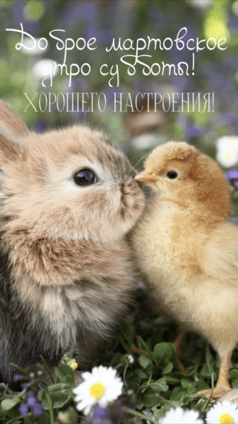 Доброе мартовское утро субботы - уютные картинки (39 ФОТО)