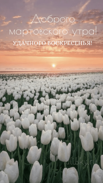 Доброе мартовское утро воскресенья - уютные картинки (38 ФОТО)