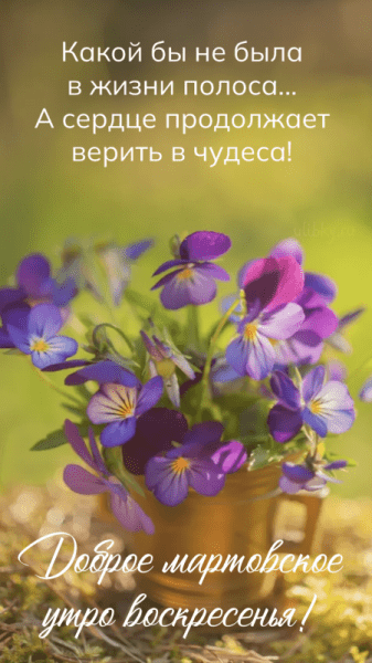 Доброе мартовское утро воскресенья - уютные картинки (38 ФОТО)