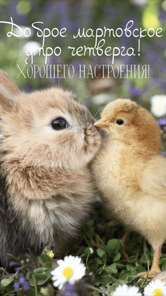 С добрым мартовским утром четверга - красивые картинки (35 ФОТО)