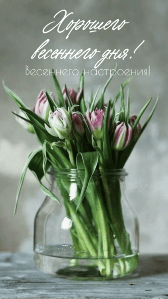 Доброго весеннего дня - новые красивые картинки (39 ФОТО)