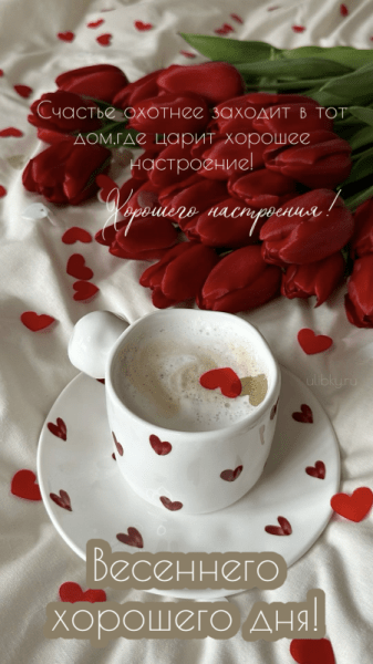 Доброго весеннего дня - новые красивые картинки (39 ФОТО)
