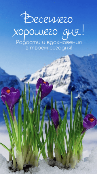 Доброго весеннего дня - новые красивые картинки (39 ФОТО)