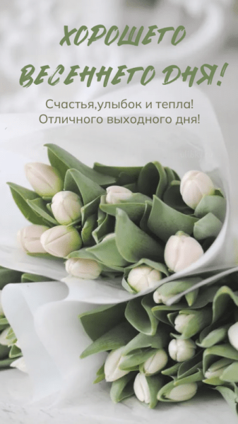 Доброго весеннего дня - новые красивые картинки (39 ФОТО)