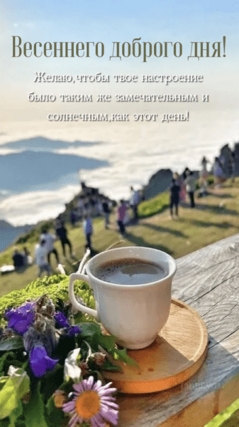 Доброго весеннего дня - новые красивые картинки (39 ФОТО)
